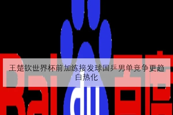 王楚钦世界杯前加练接发球国乒男单竞争更趋白热化